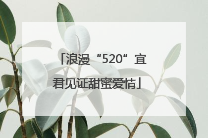 浪漫“520”宜君见证甜蜜爱情