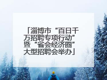 淄博市“百日千万招聘专项行动”暨“省会经济圈”大型招聘会举办