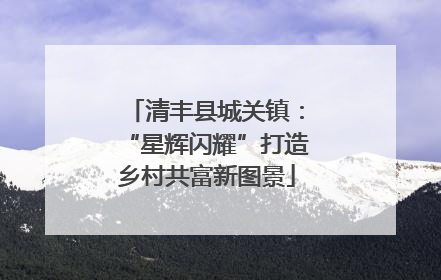 清丰县城关镇：“星辉闪耀”打造乡村共富新图景