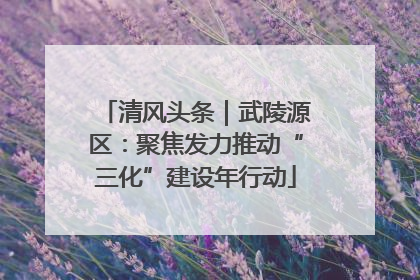 清风头条｜武陵源区：聚焦发力推动“三化”建设年行动