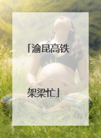 渝昆高铁架梁忙