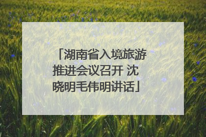 湖南省入境旅游推进会议召开 沈晓明毛伟明讲话