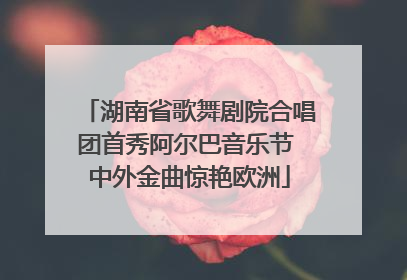 湖南省歌舞剧院合唱团首秀阿尔巴音乐节 中外金曲惊艳欧洲