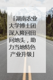 湖南农业大学博士团深入隆回田间地头，助力当地特色产业升级