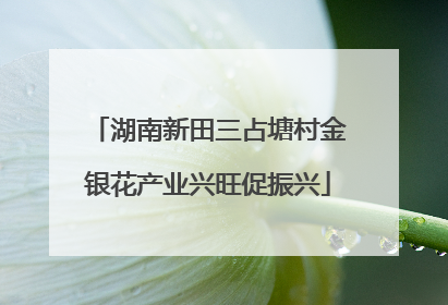 湖南新田三占塘村金银花产业兴旺促振兴