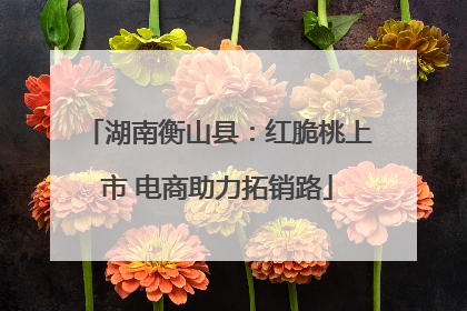 湖南衡山县：红脆桃上市 电商助力拓销路