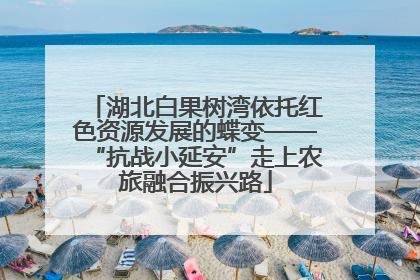 湖北白果树湾依托红色资源发展的蝶变——“抗战小延安”走上农旅融合振兴路