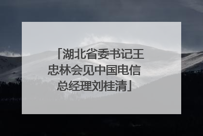 湖北省委书记王忠林会见中国电信总经理刘桂清