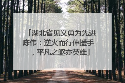 湖北省见义勇为先进陈伟：逆火而行伸援手，平凡之躯亦英雄