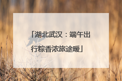 湖北武汉：端午出行粽香浓旅途暖