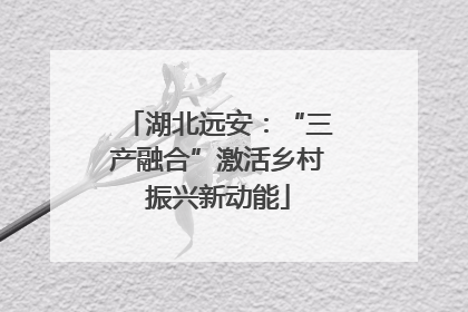 湖北远安：“三产融合”激活乡村振兴新动能