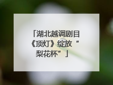 湖北越调剧目《顶灯》绽放“梨花杯”