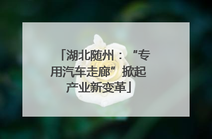 湖北随州：“专用汽车走廊”掀起产业新变革