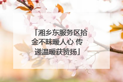 湘乡东服务区拾金不昧暖人心 传递温暖获赞扬
