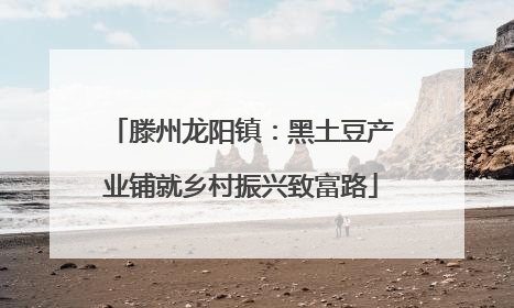 滕州龙阳镇：黑土豆产业铺就乡村振兴致富路