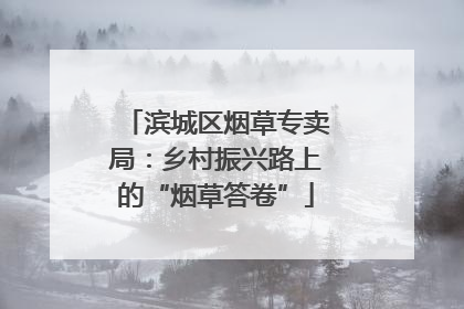 滨城区烟草专卖局：乡村振兴路上的“烟草答卷”