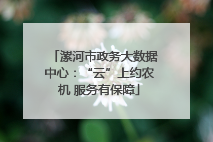 漯河市政务大数据中心：“云”上约农机 服务有保障