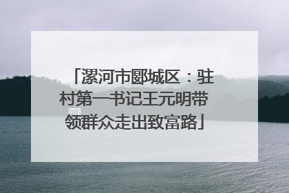 漯河市郾城区：驻村第一书记王元明带领群众走出致富路