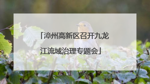 漳州高新区召开九龙江流域治理专题会
