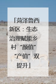 菏泽鲁西新区：生态治理赋能乡村“颜值”“产值”双提升
