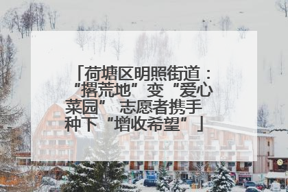 荷塘区明照街道：“撂荒地”变“爱心菜园” 志愿者携手种下“增收希望”