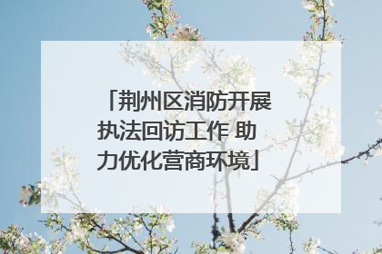 荆州区消防开展执法回访工作 助力优化营商环境