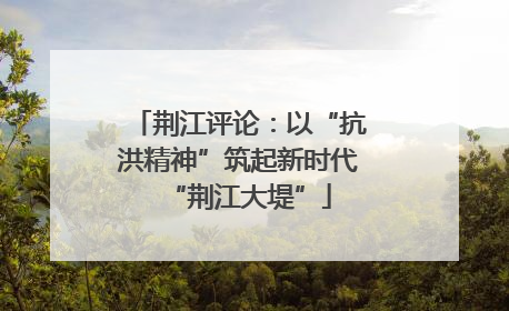 荆江评论：以“抗洪精神”筑起新时代“荆江大堤”