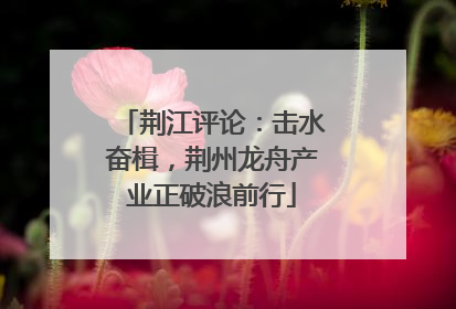 荆江评论：击水奋楫，荆州龙舟产业正破浪前行