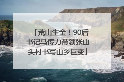 荒山生金！90后书记马传力带领张山头村书写山乡巨变