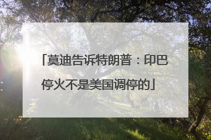 莫迪告诉特朗普：印巴停火不是美国调停的