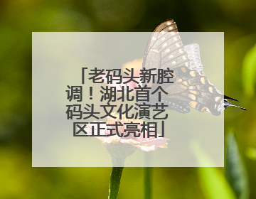 老码头新腔调！湖北首个码头文化演艺区正式亮相