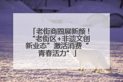 老街商圈展新颜！“老街区+非遗文创新业态”激活消费“青春活力”