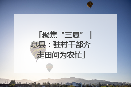 聚焦“三夏”｜息县：驻村干部奔走田间为农忙