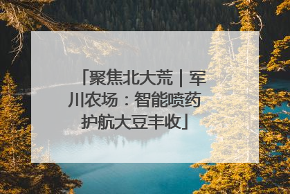聚焦北大荒｜军川农场：智能喷药护航大豆丰收