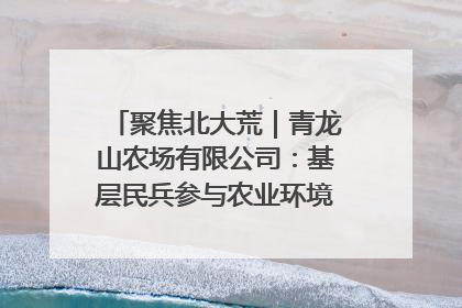 聚焦北大荒｜青龙山农场有限公司：基层民兵参与农业环境综合治理显效