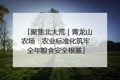 聚焦北大荒｜青龙山农场：农业标准化筑牢全年粮食安全根基