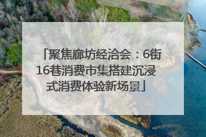 聚焦廊坊经洽会：6街16巷消费市集搭建沉浸式消费体验新场景