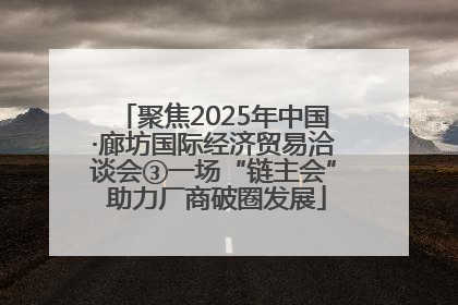 聚焦2025年中国·廊坊国际经济贸易洽谈会③一场“链主会” 助力厂商破圈发展