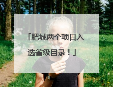 肥城两个项目入选省级目录！