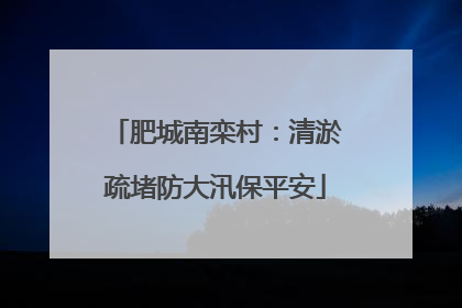 肥城南栾村：清淤疏堵防大汛保平安