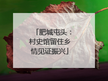 肥城屯头：村史馆留住乡情见证振兴