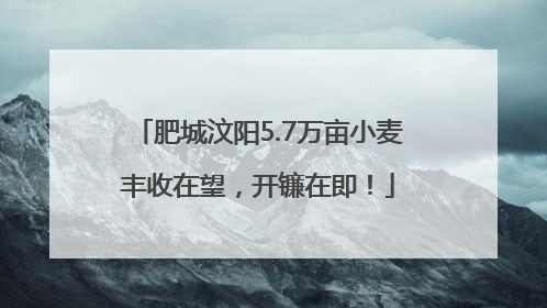 肥城汶阳5.7万亩小麦丰收在望，开镰在即！