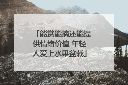 能赏能摘还能提供情绪价值 年轻人爱上水果盆栽