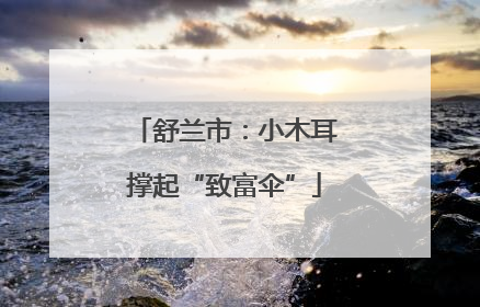 舒兰市：小木耳撑起“致富伞”