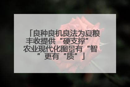 良种良机良法为夏粮丰收提供“硬支撑” 农业现代化图景有“智”更有“质”