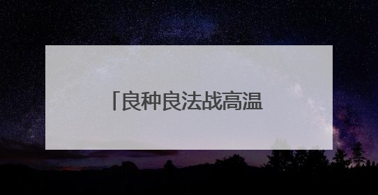 良种良法战高温 陕西渭南旱地小麦丰收有“粮”方