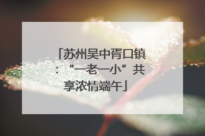 苏州吴中胥口镇：“一老一小”共享浓情端午