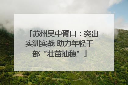 苏州吴中胥口：突出实训实战 助力年轻干部“壮苗抽穗”