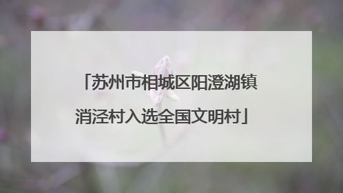 苏州市相城区阳澄湖镇消泾村入选全国文明村