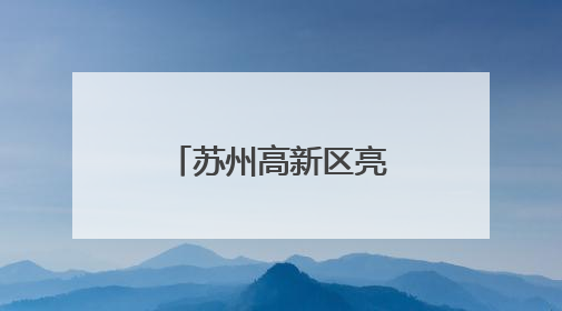 苏州高新区亮相第二十一届深圳文博会